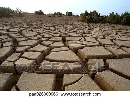 Tunisia, Sahara Desert, cracked mud, close-up View Large Photo Image Stock Photograph - Tunisia, Sahara Desert, cracked mud, close-up. Fotosearch