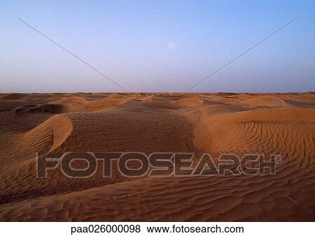 Tunisia, Sahara Desert, rippled sand dunes. View Large Photo Image Stock Photo - Tunisia, Sahara Desert, rippled sand dunes.. Fotosearch