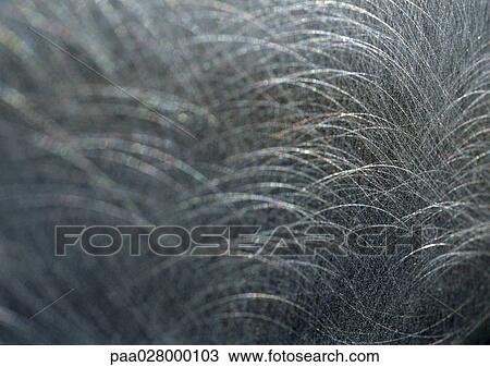 Stock Image - Brushed metal, close up.. Fotosearch