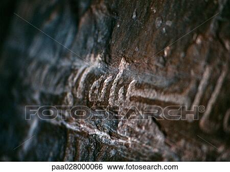 Stock Photograph - Carving in rock, textured surface. Fotosearch