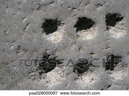 Holes carved into stone, close-up View Large Photo Image Stock Photo - Holes carved into stone, close-up. Fotosearch