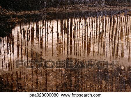 Paint on rock surface, extreme close-up View Large Photo Image Stock Image - Paint on rock surface, extreme close-up. Fotosearch