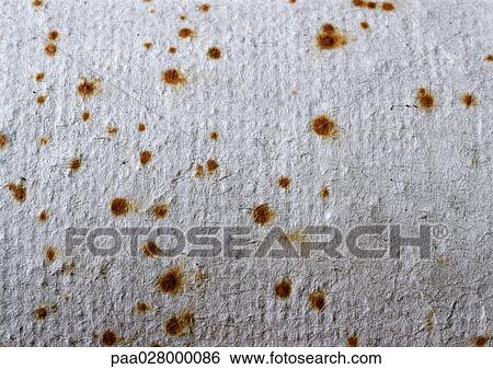 Paper with rust-colored spots, extreme close-up View Large Photo Image Stock Photograph - Paper with rust-colored spots, extreme close-up. Fotosearch