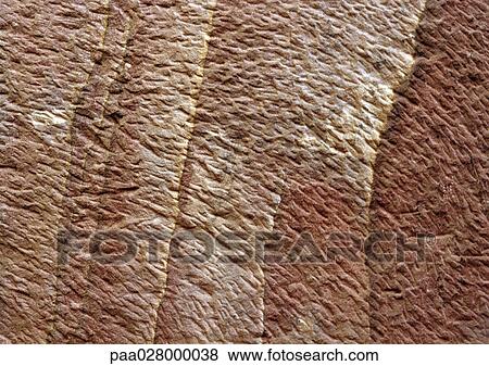 Rock surface View Large Photo Image Stock Photo - Rock surface. Fotosearch