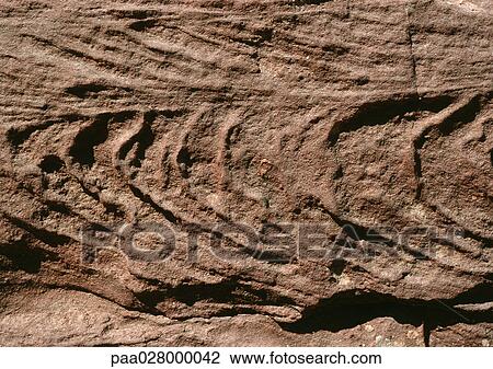 Rock, textured surface View Large Photo Image Stock Image - Rock, textured surface. Fotosearch