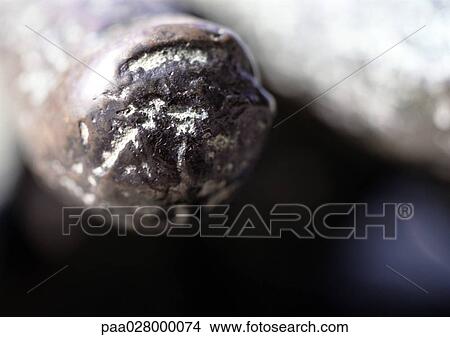Sculpture, extreme close-up View Large Photo Image Picture - Sculpture, extreme close-up. Fotosearch