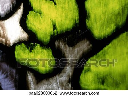 Stock Image - Stained glass window, extreme close-up. Fotosearch