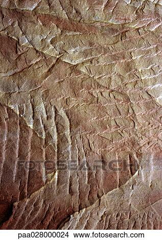 Picture - Textured surface. Fotosearch