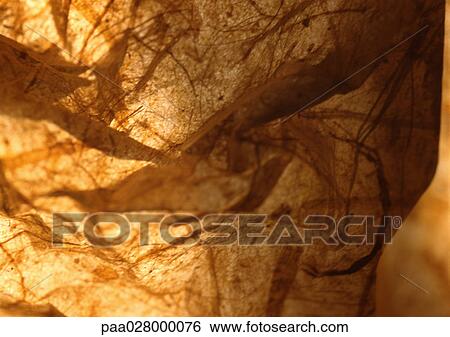 Wrinkled recycled paper. View Large Photo Image Stock Photograph - Wrinkled recycled paper.. Fotosearch