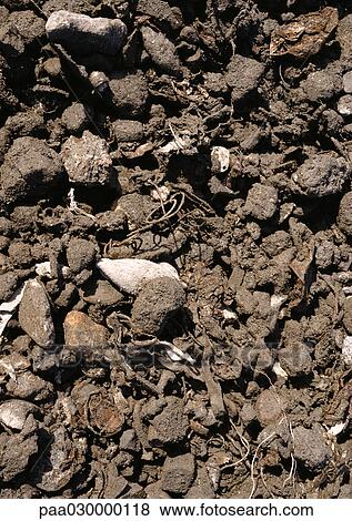 Dirt and rocks. View Large Photo Image Stock Photo - Dirt and rocks.. Fotosearch