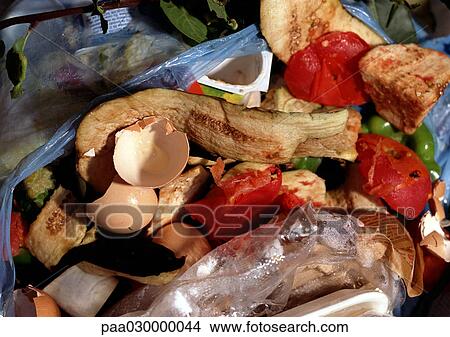 Food remains in trash bag. View Large Photo Image Picture - Food remains in trash bag.. Fotosearch