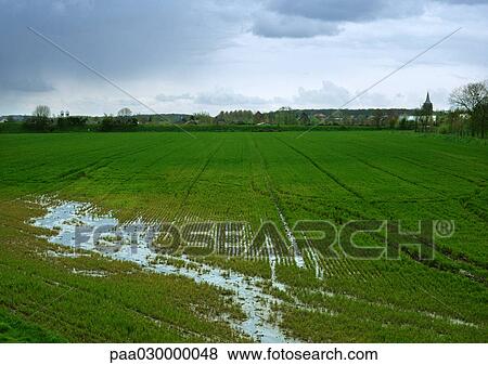 Stock Photo - France, flooded crop field. Fotosearch