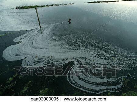 Oil deposits on water. View Large Photo Image Stock Image - Oil deposits on water.. Fotosearch
