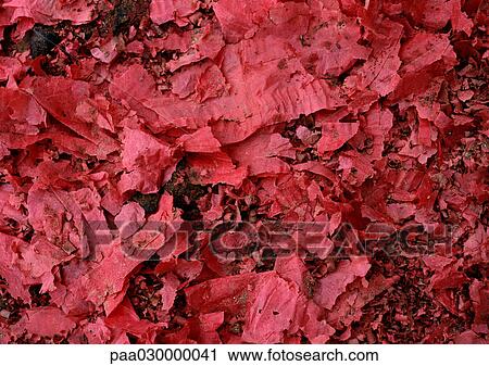 Red paper chips. View Large Photo Image Stock Image - Red paper chips.. Fotosearch