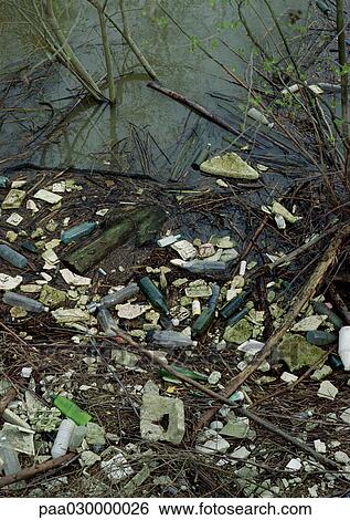Trash scattered among bare bushes. View Large Photo Image Stock Photograph - Trash scattered among bare bushes.. Fotosearch