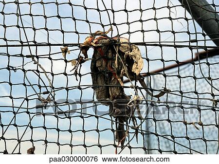 Trash tangled in wire fence. View Large Photo Image Stock Photograph - Trash tangled in wire fence.. Fotosearch