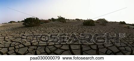 Tunisia, Sahara, cracked soil View Large Photo Image Stock Photo - Tunisia, Sahara, cracked soil. Fotosearch