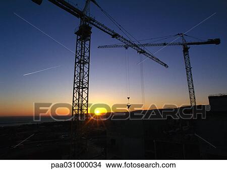 Picture - Cranes at sunrise. Fotosearch