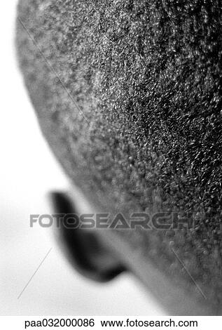 Stock Photograph - Head, close-up, partial rear view, b&w. Fotosearch