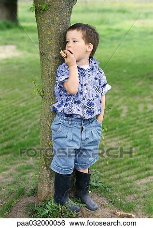 Little boy standing behind a tree View Large Photo Image Stock Photograph - Little boy standing behind a tree. Fotosearch
