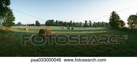 Stock Photograph - France, bales of hay in grassy field, panoramic view. Fotosearch