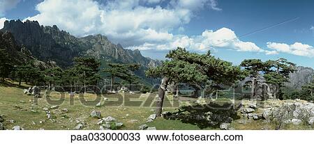 Stock Image - France, Corsica, mountain landscape, panoramic view. Fotosearch