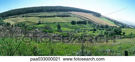Stock Image - France, fields, panoramic view. Fotosearch