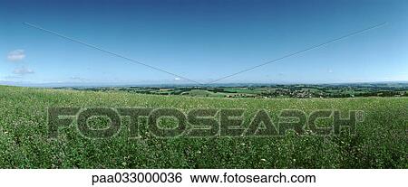 Stock Photograph - France, grassy field, panoramic view. Fotosearch