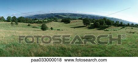 France, grassy hills, panoramic view View Large Photo Image Stock Photo - France, grassy hills, panoramic view. Fotosearch
