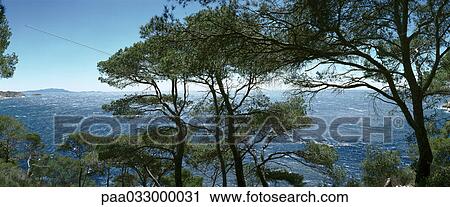 Stock Image - France, trees overlooking landscape, panoramic view. Fotosearch
