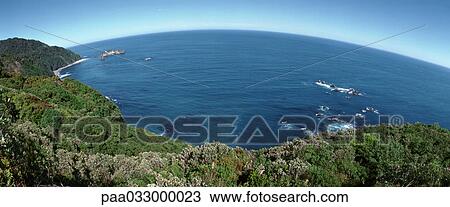 New Zealand, sea viewed from the coast, panoramic view View Large Photo Image Stock Image - New Zealand, sea viewed from the coast, panoramic view. Fotosearch