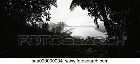 Picture - New Zealand, sea viewed through gap in vegetation, panoramic view. Fotosearch
