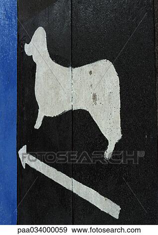 Dog and arrow symbols, close-up View Large Illustration Stock Illustration - Dog and arrow symbols, close-up. Fotosearch