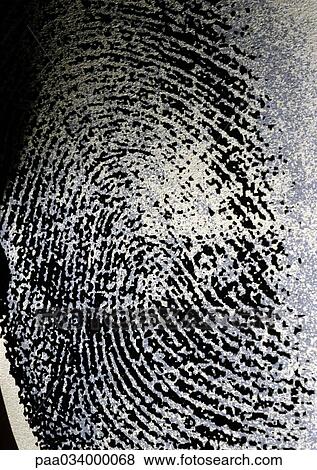 Fingerprint, extreme close-up View Large Illustration Stock Illustration - Fingerprint, extreme close-up. Fotosearch