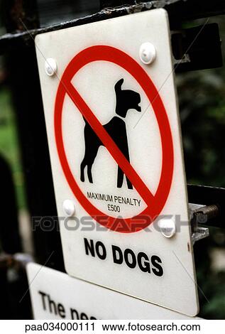No dogs sign, close-up View Large Illustration Clip Art - No dogs sign, close-up. Fotosearch