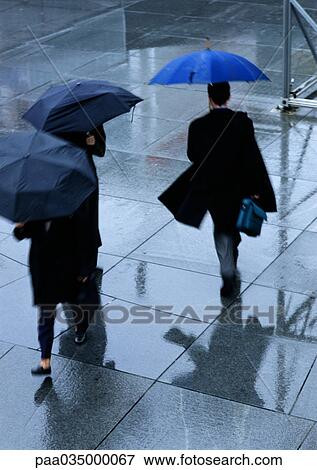 Three people holding umbrellas in street, high angle view View Large Photo Image Stock Photo - Three people holding umbrellas in street, high angle view. Fotosearch