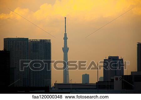 Cityscape with Sky Tree Tower View Large Photo Image Stock Photo - Cityscape with Sky Tree Tower. Fotosearch