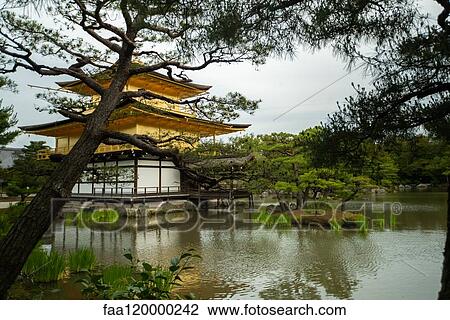 Temple of the Golden Pavilion with pond View Large Photo Image Stock Image - Temple of the Golden Pavilion with pond. Fotosearch