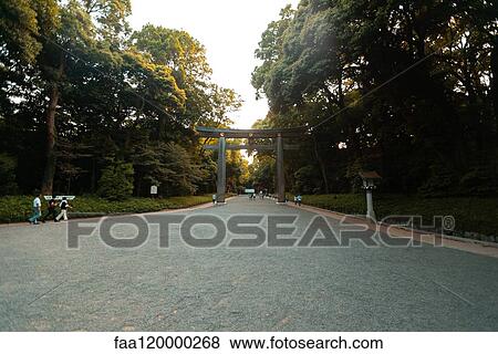 Torii gate at Meiji Jingu shrine in Tokyo View Large Photo Image Stock Photo - Torii gate at Meiji Jingu shrine in Tokyo. Fotosearch