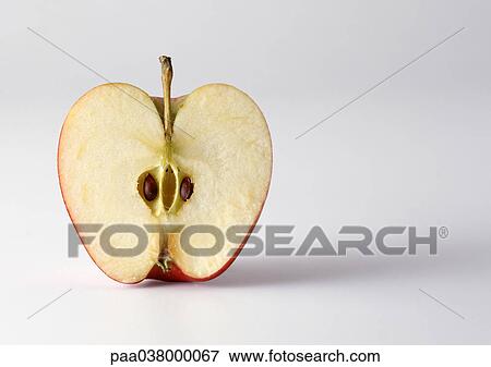Apple cross-section View Large Photo Image Stock Photo - Apple cross-section. Fotosearch