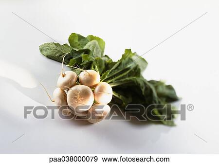 Bunch of turnips View Large Photo Image Stock Photo - Bunch of turnips. Fotosearch