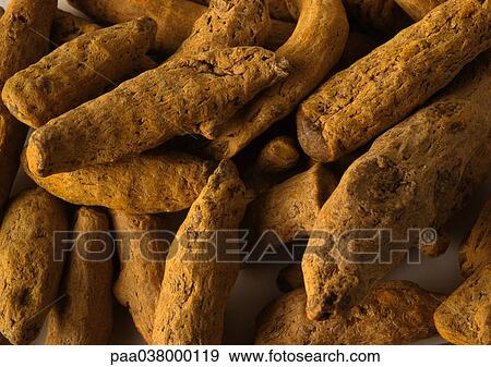 Curcuma roots, close-up View Large Photo Image Stock Photo - Curcuma roots, close-up. Fotosearch