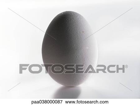 Egg, close-up View Large Photo Image Stock Photo - Egg, close-up. Fotosearch