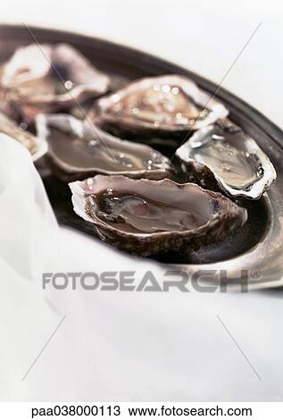 Oysters on platter View Large Photo Image Stock Image - Oysters on platter. Fotosearch