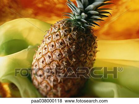 Pineapple, close-up, vibrant colors in background View Large Photo Image Stock Photo - Pineapple, close-up, vibrant colors in background. Fotosearch