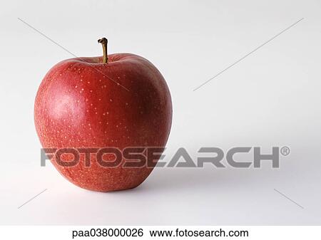 Stock Photograph - Red apple with stem, in upright position, white background. Fotosearch