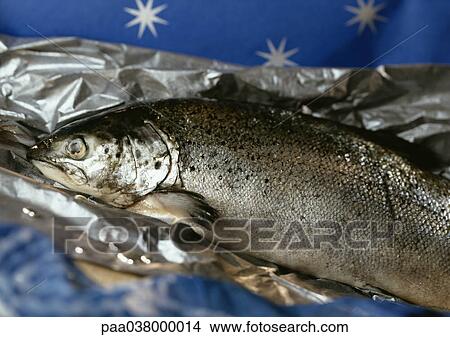 Picture - Salmon, close-up. Fotosearch