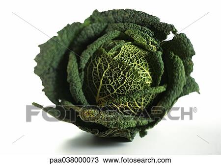 Savoy cabbage, close-up View Large Photo Image Stock Image - Savoy cabbage, close-up. Fotosearch