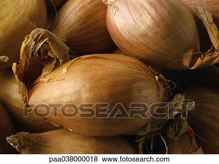 Stock Photo - Shallots, close-up, full frame. Fotosearch