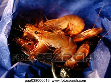 Stock Photograph - Unpeeled shrimp on blue tissue paper, close-up. Fotosearch